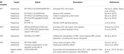 Prostaglandin E2 and Receptors: Insight Into Tumorigenesis, Tumor Progression, and Treatment of Hepatocellular Carcinoma